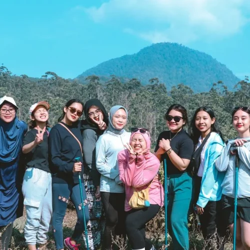 MY Media Team Digital Gallery